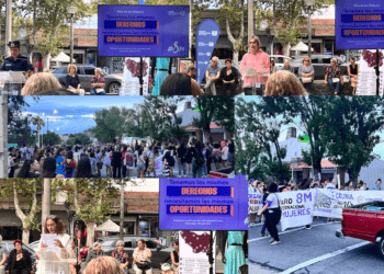 8#M Colonia
