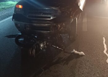 Un fallecido en siniestro de tránsito