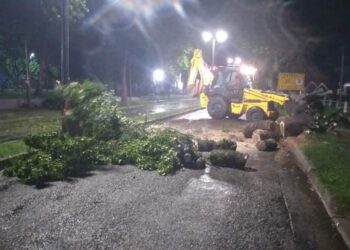 CECOED reportó vientos en balneario Los Pinos y Colonia Valdense