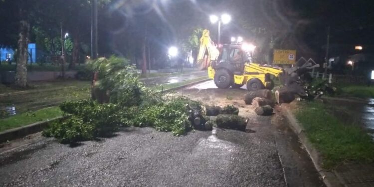 CECOED reportó vientos en balneario Los Pinos y Colonia Valdense