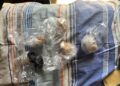 Desarticulan tres bocas de drogas en la ciudad de Rosario tras la operación “Pasadizo”