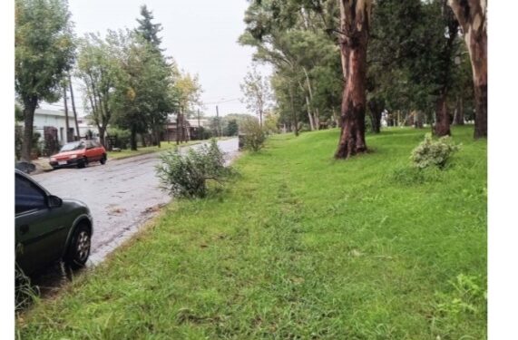 Titulares de La Colonia en papel