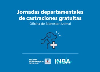 Calendario de castraciones mes de mayo