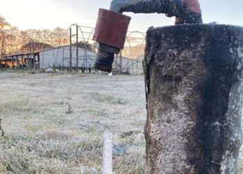 Imagen impactante del frío polar en Colonia