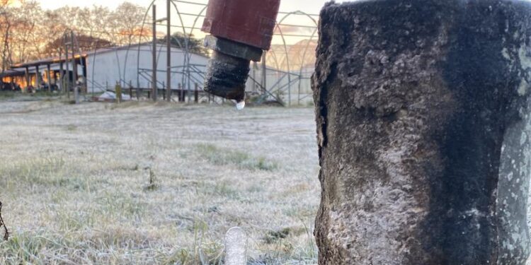Imagen impactante del frío polar en Colonia