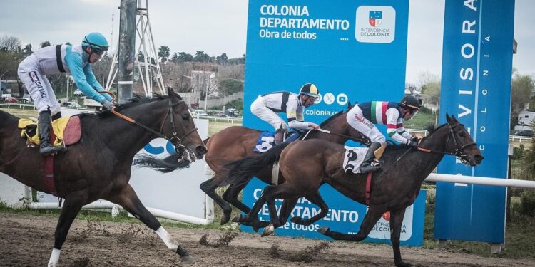 La gran fiesta del Turf