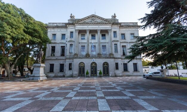 Curso gratuito «Mi Primera Licencia»
