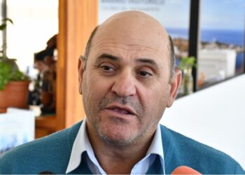 Poda de árboles en Colonia: entrevista con Luis Garat