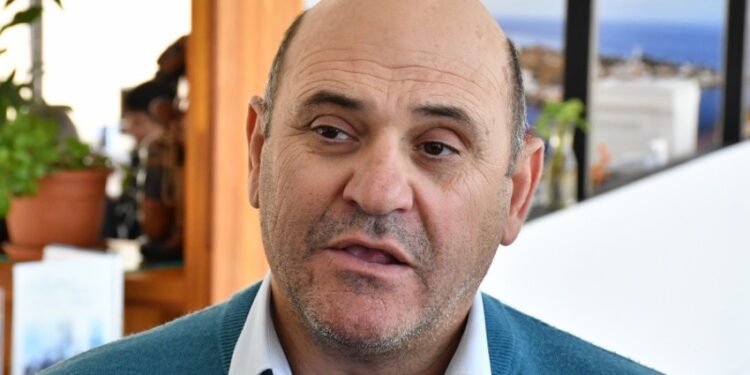 Poda de árboles en Colonia: entrevista con Luis Garat