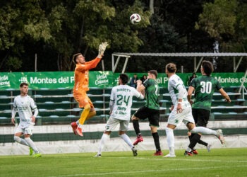 Liga de Ascenso Profesional