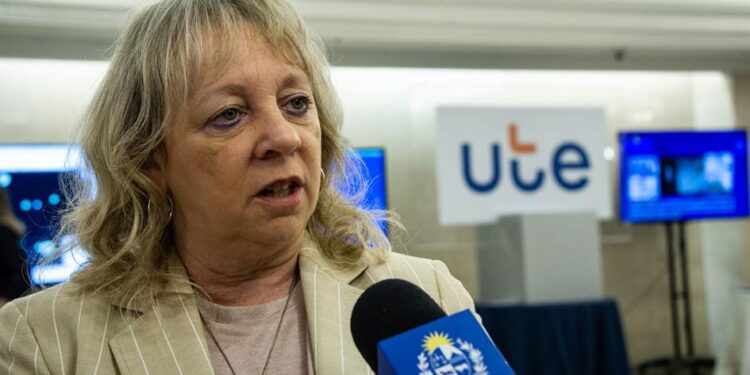«Tendremos una instalación eléctrica en el Puerto de Colonia con una potencia similar a más de la mitad del consumo de toda la ciudad»