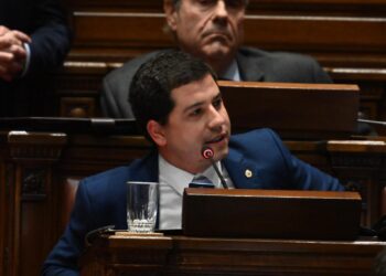 Nahuel Morosi, el joven nacionalista que asumió como diputado por Colonia