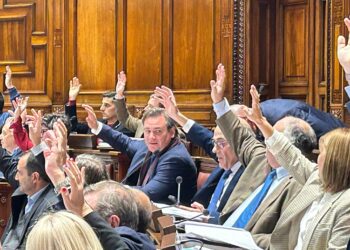 Diputados aprueba rescate de la Caja de Profesionales sin impacto en aportes de activos y pasivos