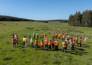 Montes del Plata y SUPRA impulsan pastoreo racional en predios forestales