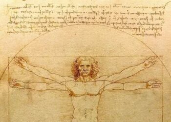 Multipotencial: cuando la curiosidad es el motor de la creatividad