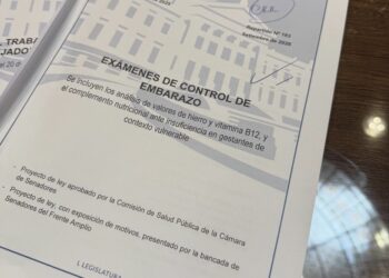 El Senado aprobó por unanimidad controles de hierro y vitamina B12 para embarazadas