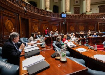 Proyecto que eleva la edad mínima para matrimonio a 18 años recibe luz verde en el Senado