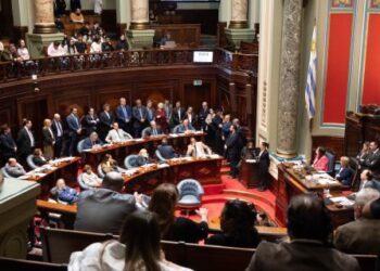 Ley de ingresos a intendencias: el Senado votó la norma con excepción que generó críticas