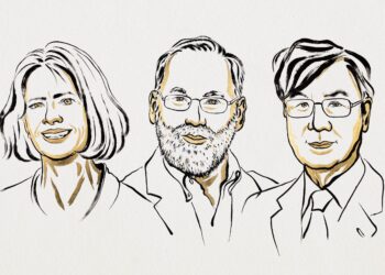 Premio Nobel de Medicina 2025, descubrimiento clave en enfermedades autoinmunes