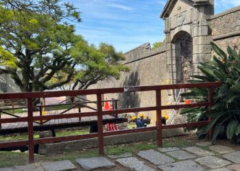 Avanza la recuperación del Portón de Campo