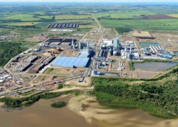 Montes del Plata inicia nueva Parada General de Planta con más de 3,000 trabajadores