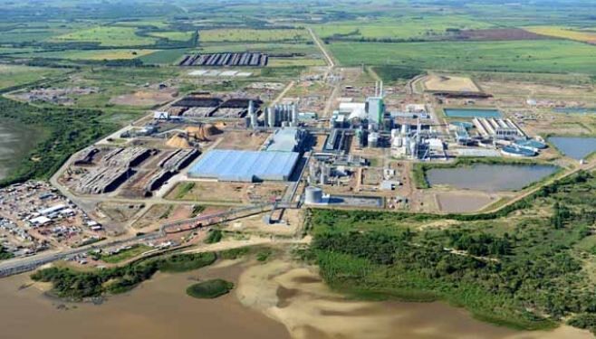 Montes del Plata inicia nueva Parada General de Planta con más de 3,000 trabajadores