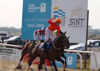 Gran jornada de Turf en el Hipódromo Real de San Carlos