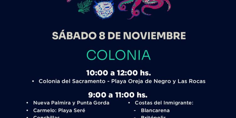 “Cuando arrancamos con la limpieza de costas éramos 30 voluntarios, hoy somos 600”