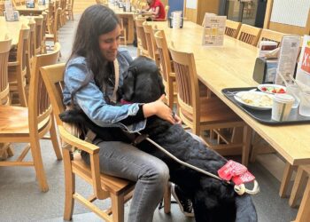 Finalmente, Milagros Costabel podrá venir a Uruguay junto a su perro Indio