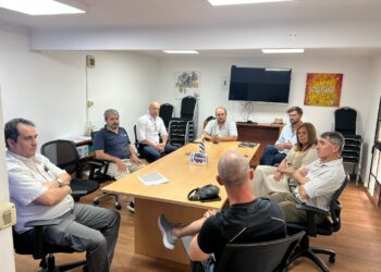 Colonia intensifica la lucha contra el picudo rojo: tratamientos biológicos y drones para preservar las palmeras
