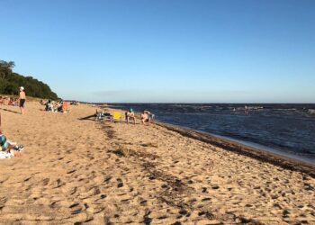 Alerta sanitaria en Colonia: Consultas por erupciones cutáneas en playas