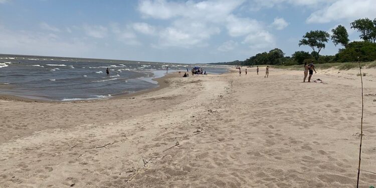 Resultados preliminares de análisis en playas de Nueva Palmira y Carmelo