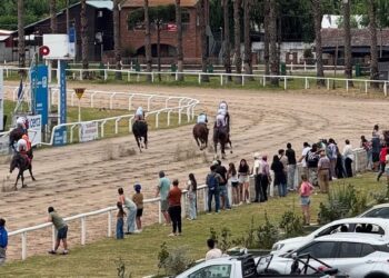 Operativo Anfisbena: Más de 30 allanamientos permitieron la condena de 34 personas