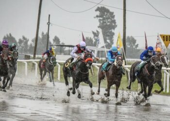 Colonia vivió una Semana de Turismo a pura convocatoria