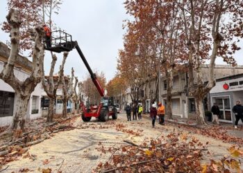Orsi ordena la Rendición de Cuentas con foco en el gasto y los combustibles