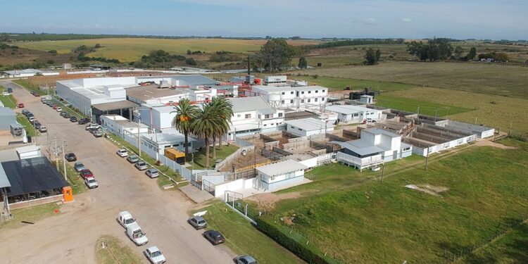 A través de Cancillería buscan acelerar la habilitación de China para la operativa de Matadero Rosario