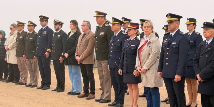 La Plaza de Toros suma una intervención artística dedicada a la celulosa