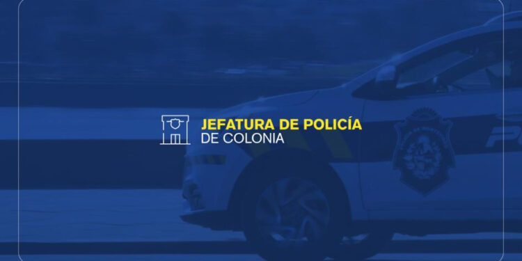 La Plaza de Toros suma una intervención artística dedicada a la celulosa